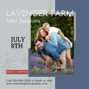 Lavender Farm Photography Sessions with Amy Sine Photography at Deep Creek Lake, MD