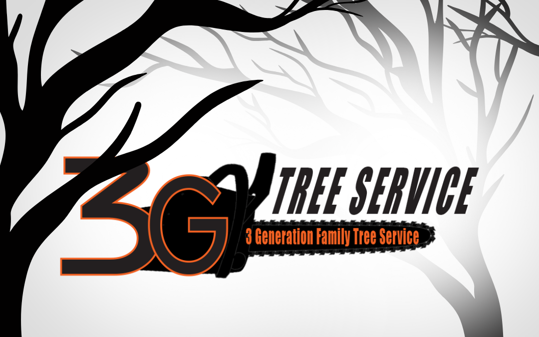 Safe and Quick Tree Removal by 3G Tree