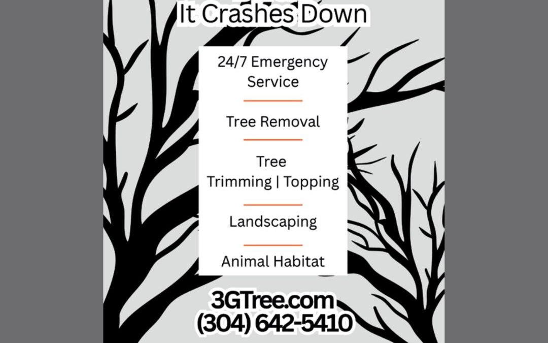 3G Tree Service