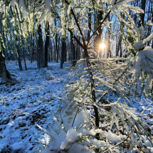 April Snow at Deep Creek Lake, MD