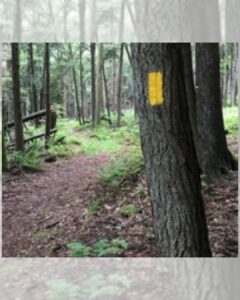 6-Mile National Trails Day Hike