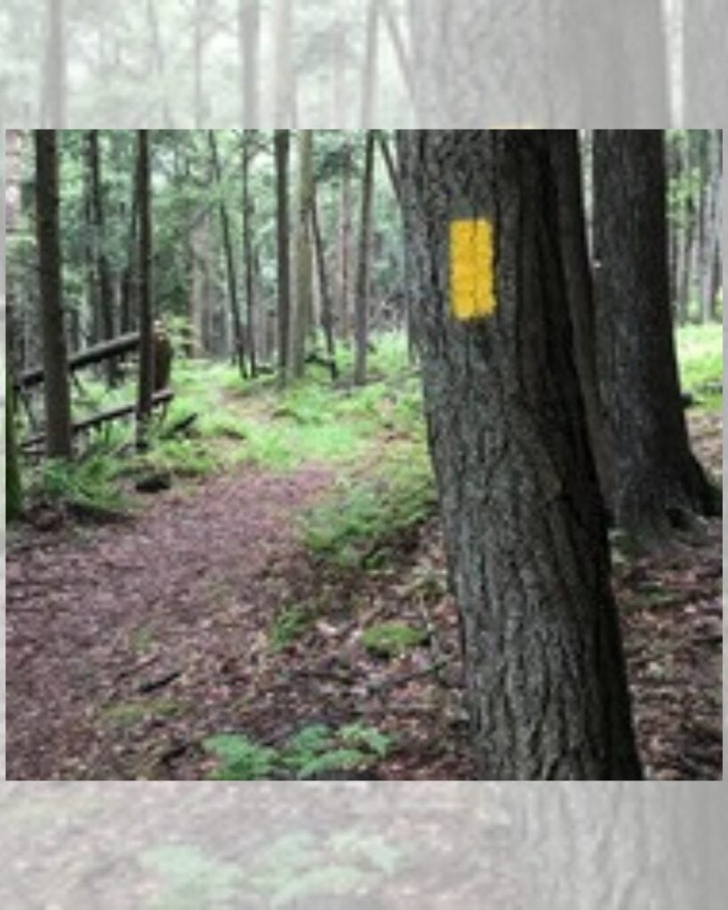 6-Mile National Trails Day Hike