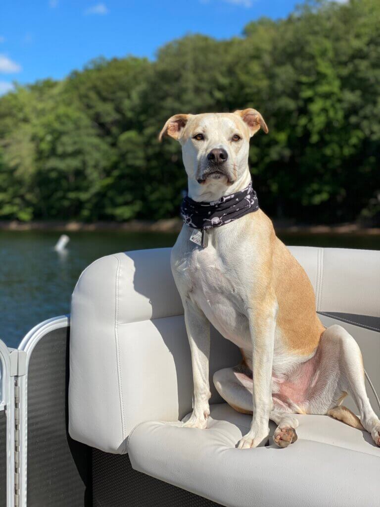 Mannie at the lake
