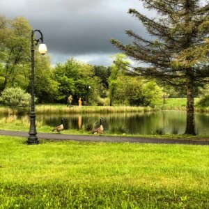Fisherman (dad and son) and Goslings along the Lake