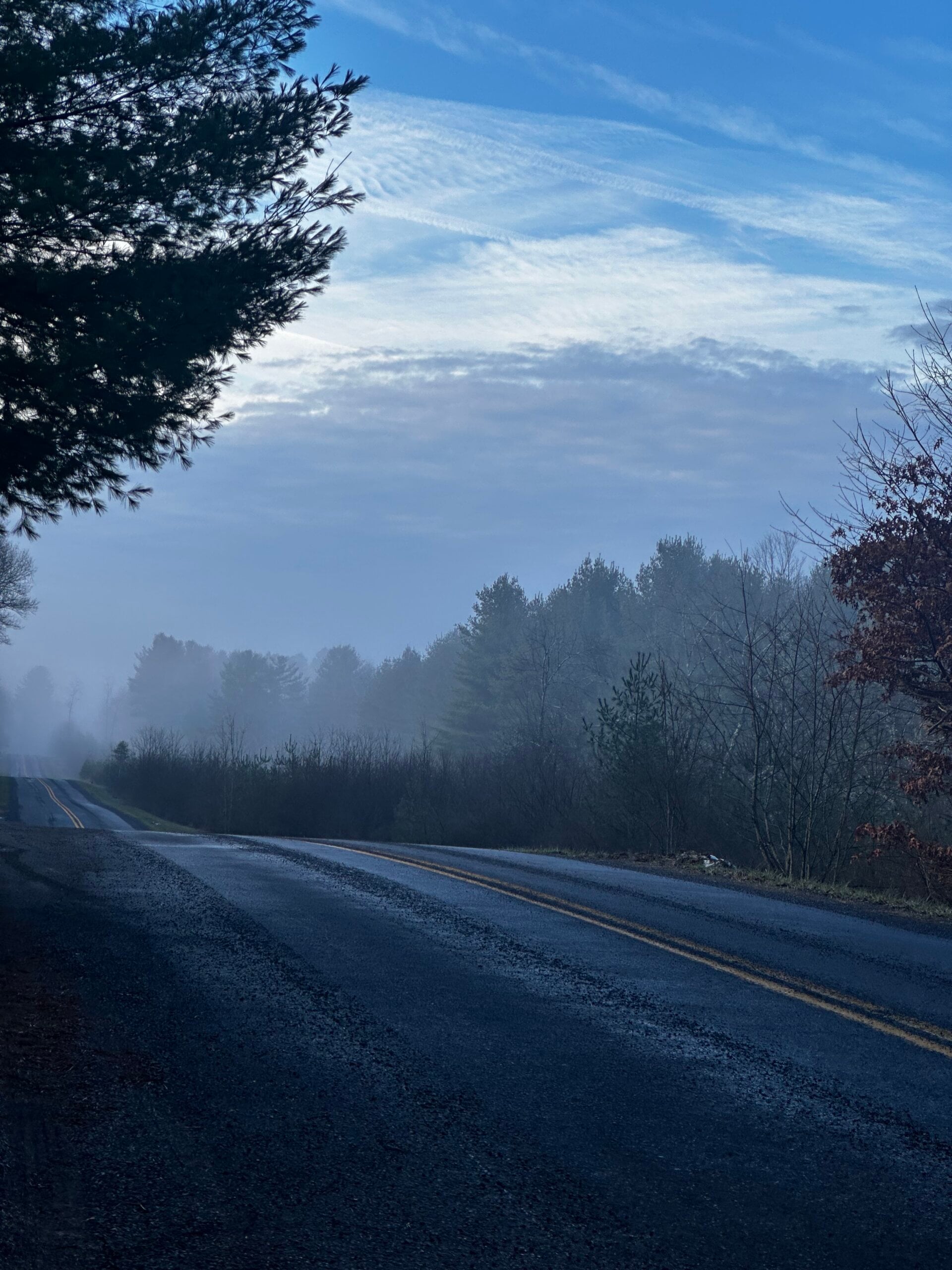 A December Morning Fog