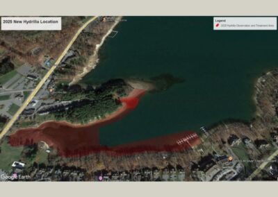 Alert: New Hydrilla Infestation Detected at Arrowhead Cove in Deep Creek Lake
