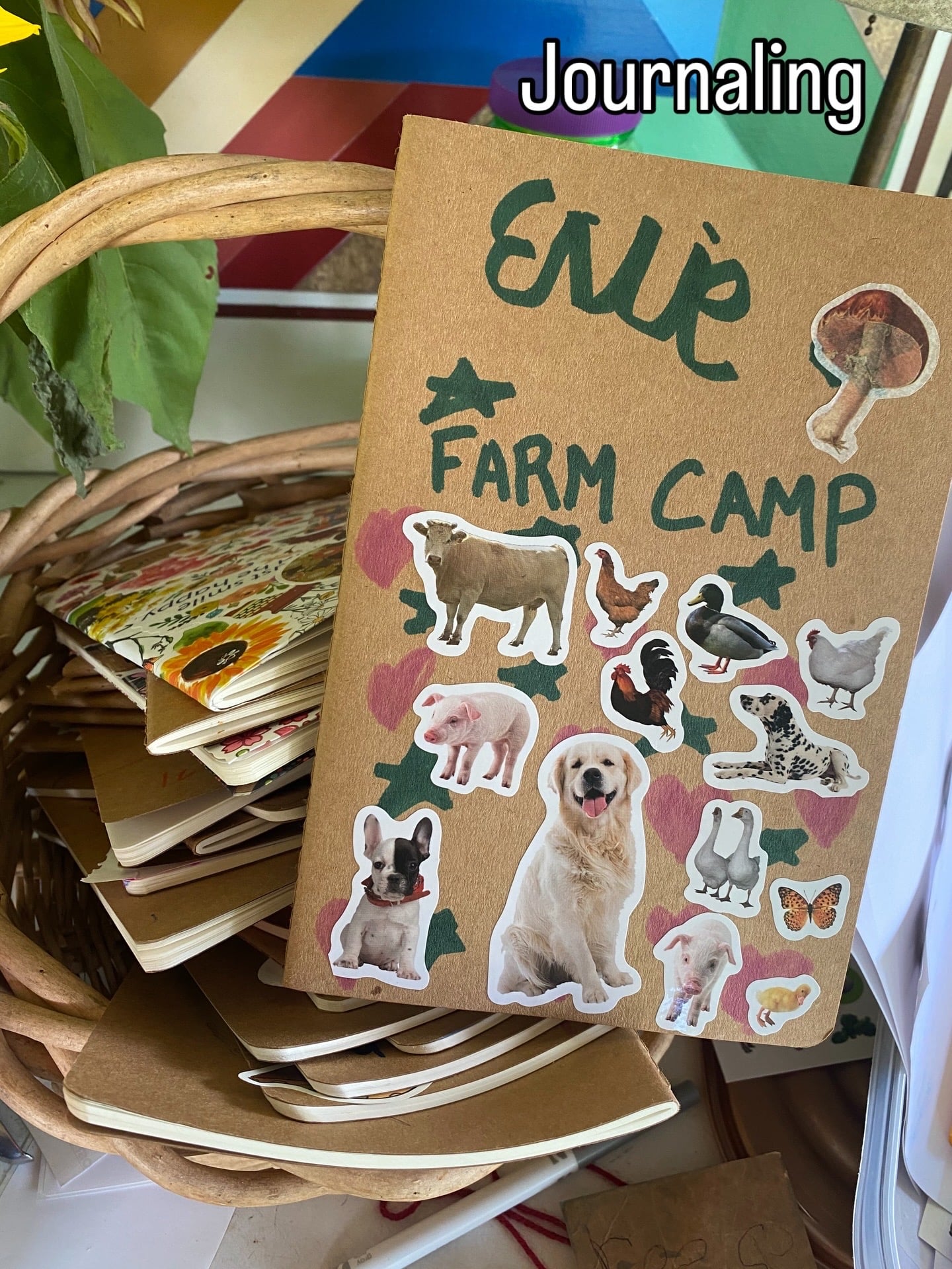 An Organic Day Camp for Kids at Backbone Farm