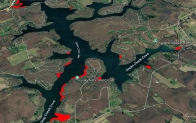 Submerged Aquatic Vegetation Surveys at Deep Creek Lake