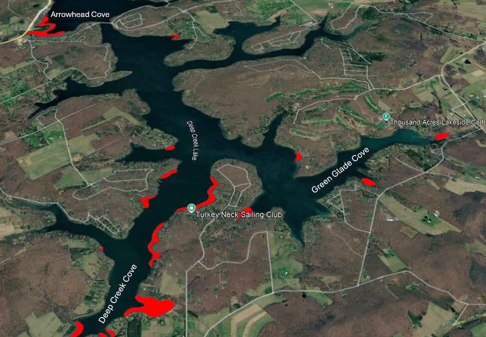 Submerged Aquatic Vegetation Surveys at Deep Creek Lake