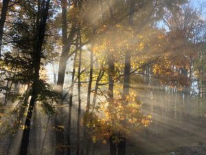 Autumn Beauty in Deep Creek Lake, MD by Mark Richards