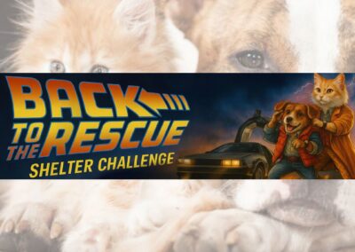 Back to the Rescue Shelter Challenge: Help HART Win Big for Homeless Pets!