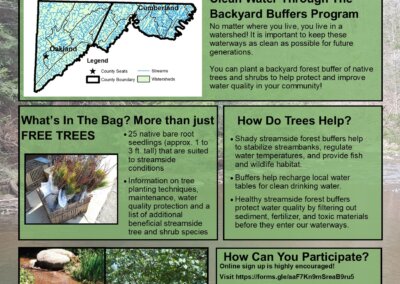 Backyard Buffers Program