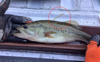 Bass Bash Challenge For Youth Anglers