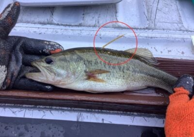 Bass Bash Challenge For Youth Anglers