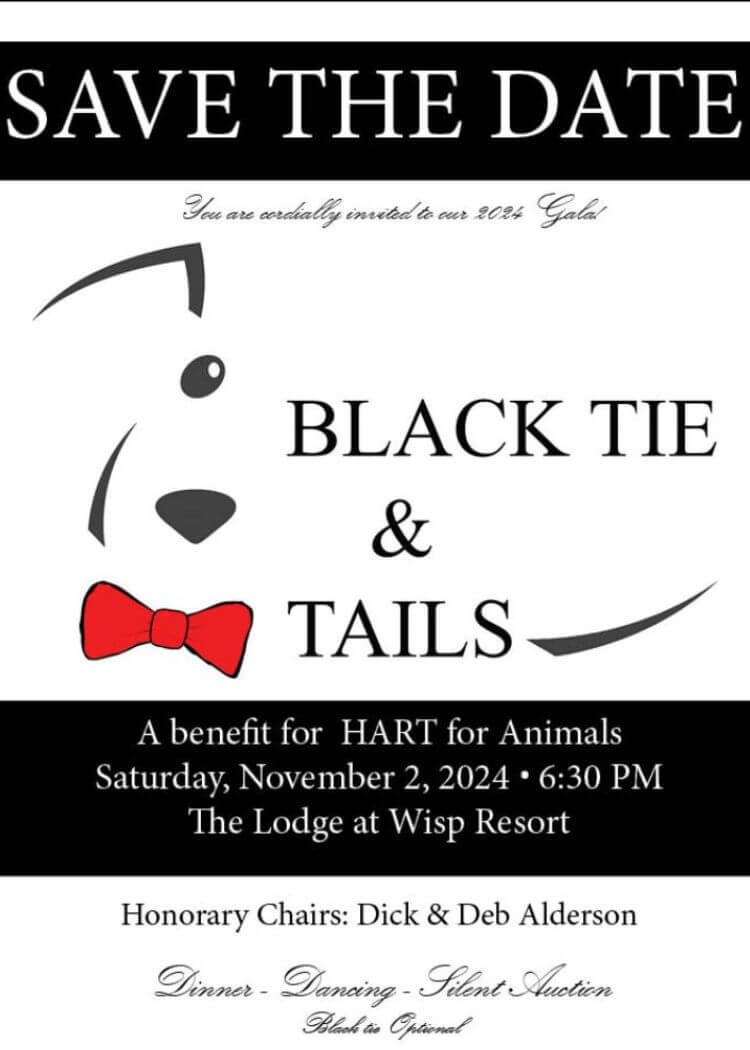 Black Tie & Tails at Deep Creek Lake, MD