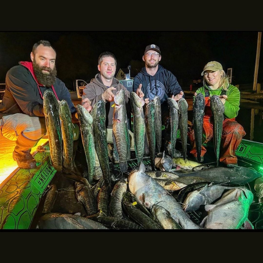 Bowfishing: What You Should Know Before You Shoot Bowfishing: What You Should Know Before You Shoot