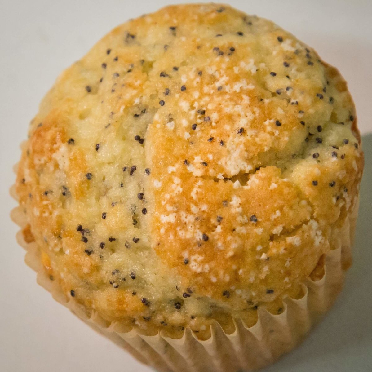 CDC Lemon Poppyseed Muffin