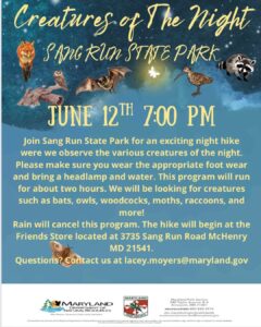 Creatures of the Night Hike