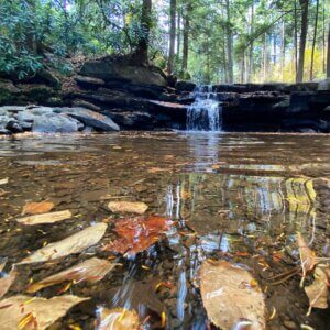 Tolliver Falls at Swallow Falls State Park