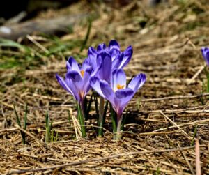 Daily Notes April 9 at Deep Creek Lake, MD