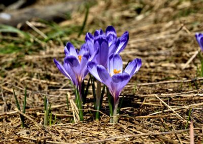 Deep Creek Daily Notes Blog April 9
