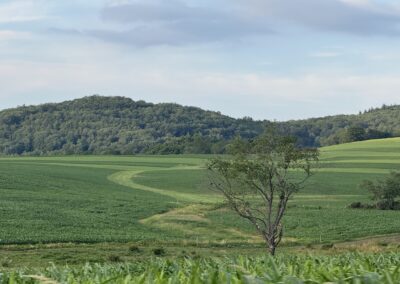Deep Creek Daily Notes Blog August 1 Weekend