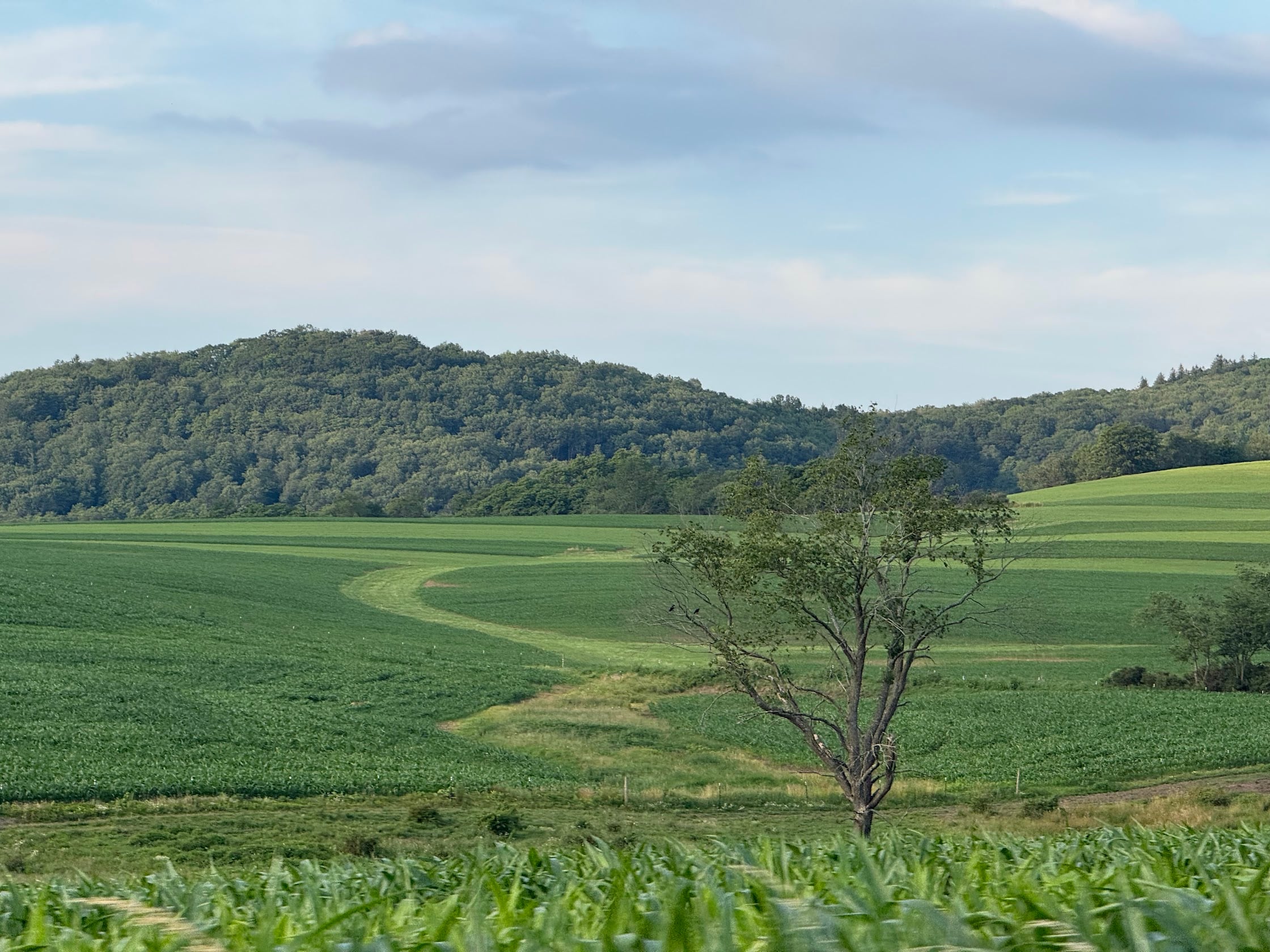 Deep Creek Daily Notes Blog August 1 Weekend Deep Creek Daily Notes Blog August 1 Weekend