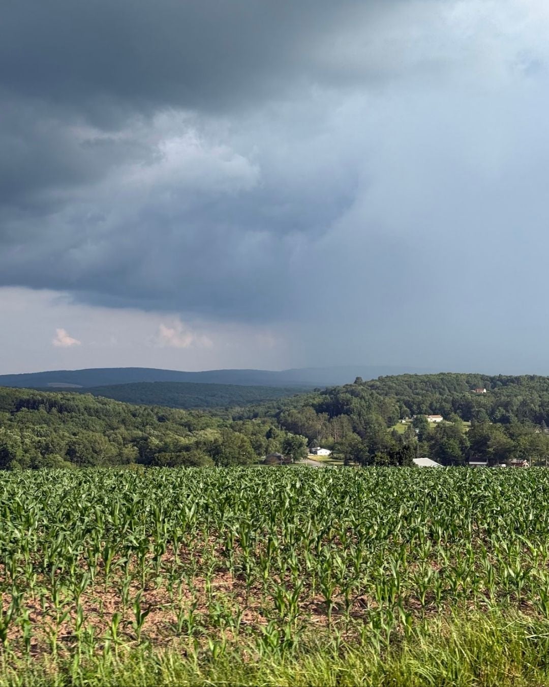 Deep Creek Daily Notes Blog August 11 Deep Creek Daily Notes Blog August 11