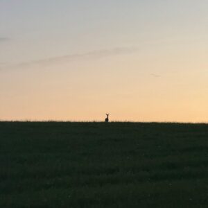 Deep Creek Daily Notes Blog August 11