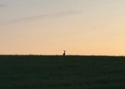 Deep Creek Daily Notes Blog August 11