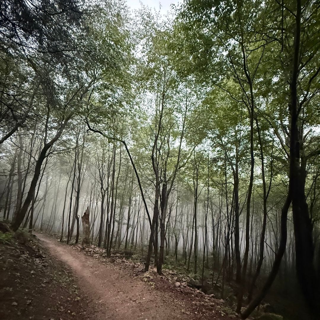 Deep Creek Daily Notes Blog August 12