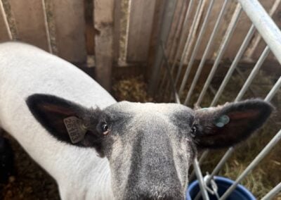 Deep Creek Daily Notes Blog August 20