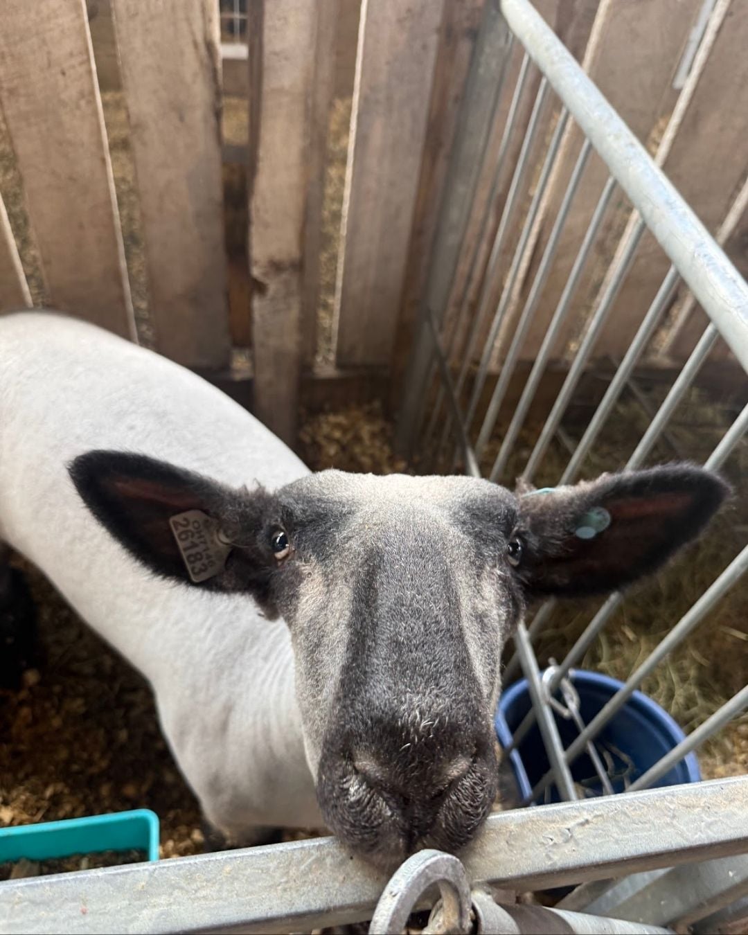 Deep Creek Daily Notes Blog August 20