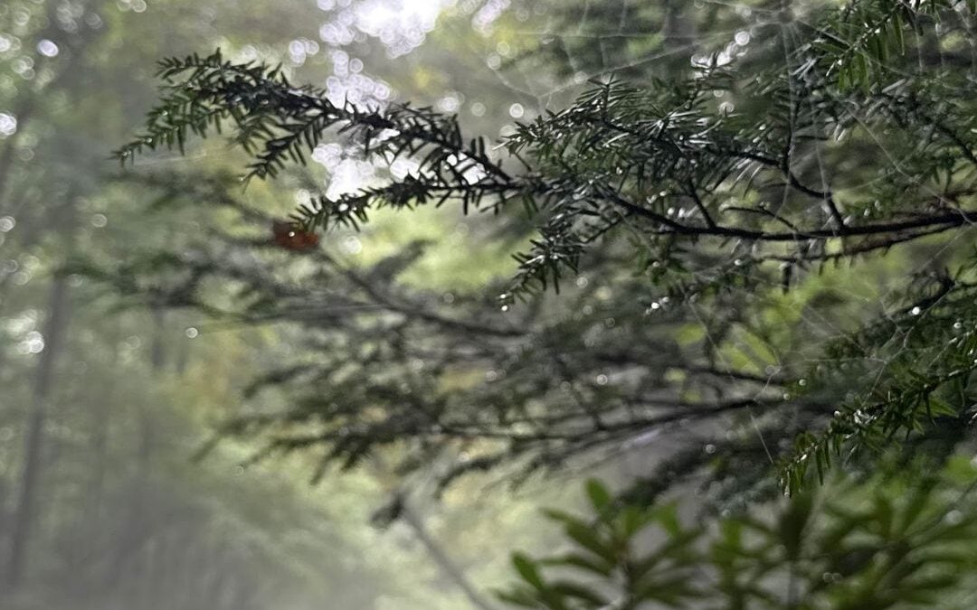 Deep Creek Daily Notes Blog August 21 Weekend