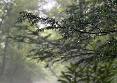 Deep Creek Daily Notes Blog August 21 Weekend