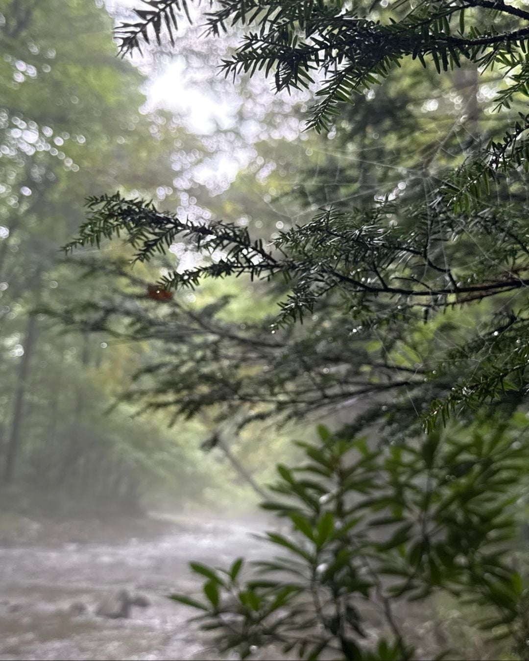 Deep Creek Daily Notes Blog August 21 Weekend