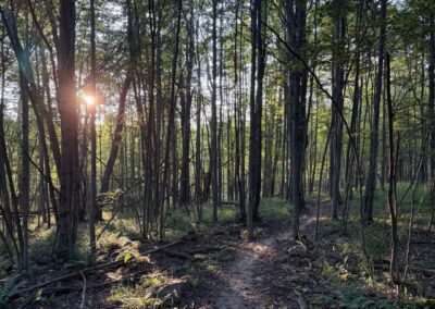 Deep Creek Daily Notes Blog August 22 Weekend