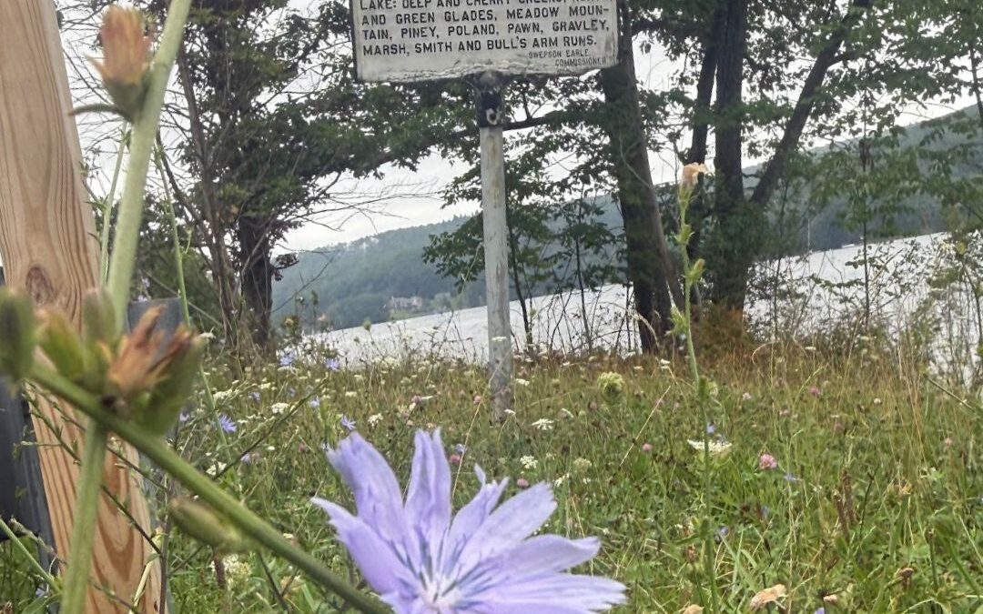 Deep Creek Daily Notes Blog August 24