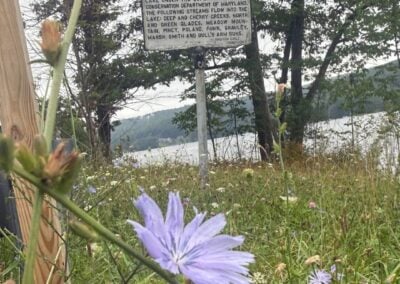 Deep Creek Daily Notes Blog August 24