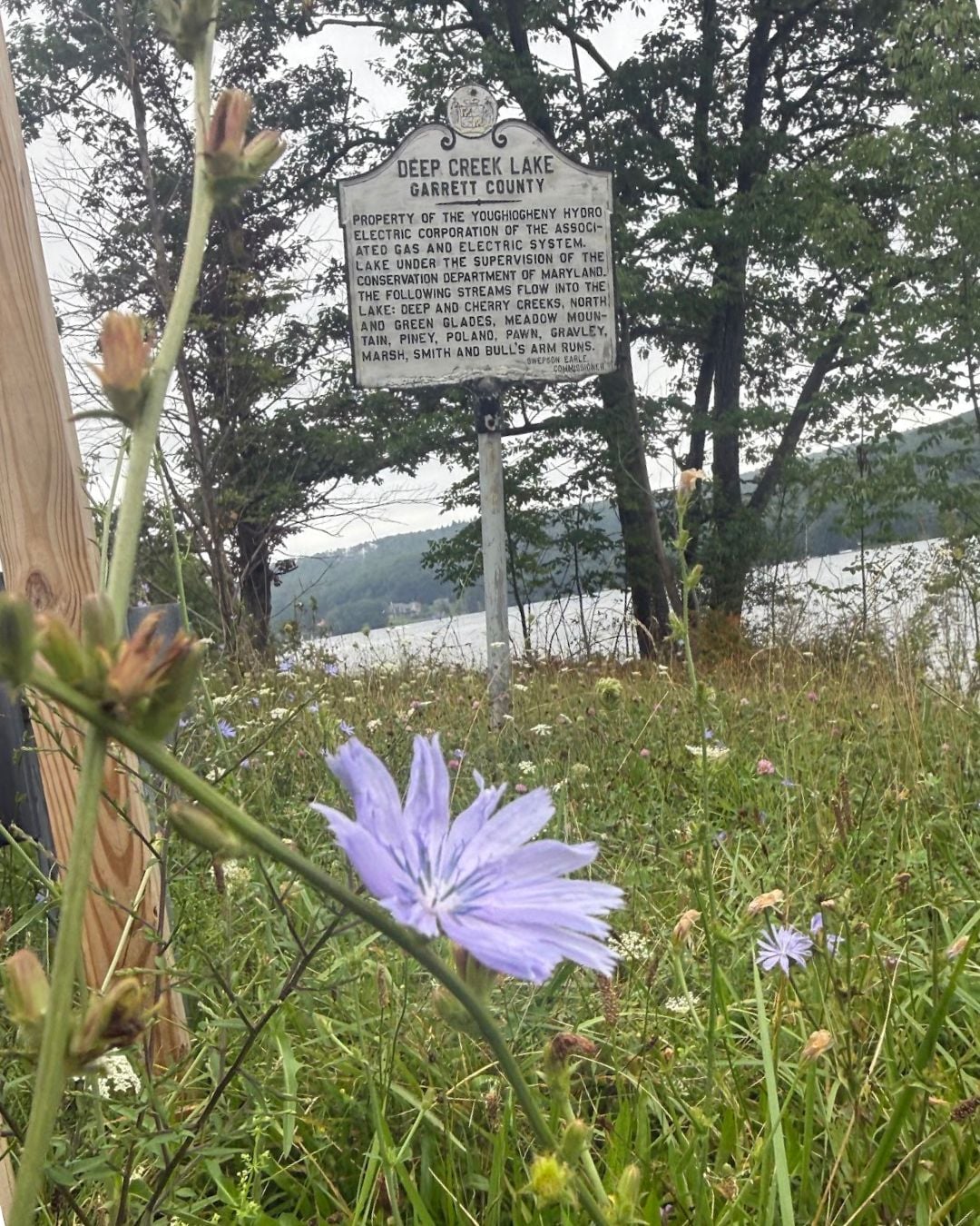 Deep Creek Daily Notes Blog August 24