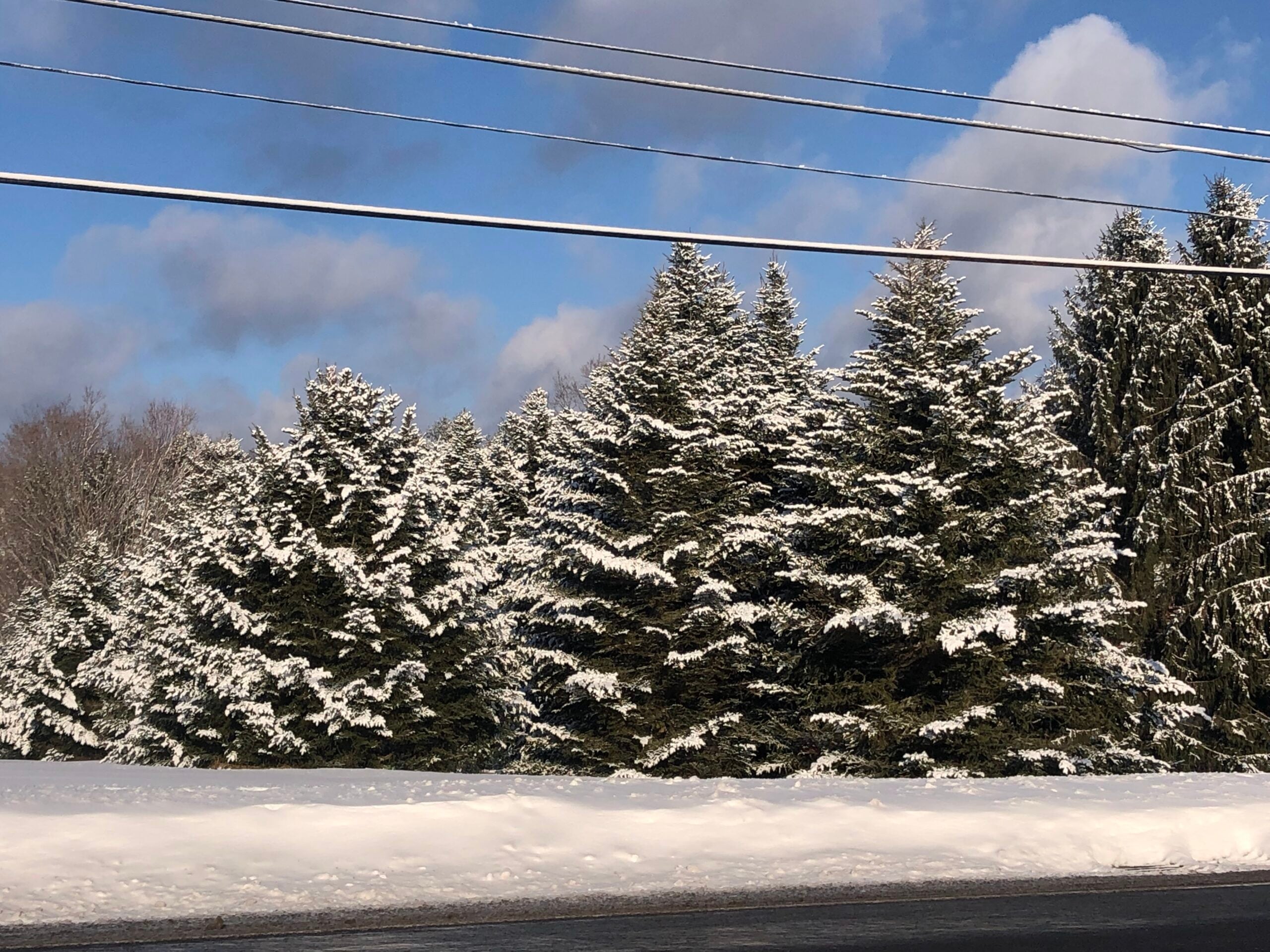 Deep Creek Daily Notes Blog December 5 Weekend Deep Creek Daily Notes Blog December 5 Weekend