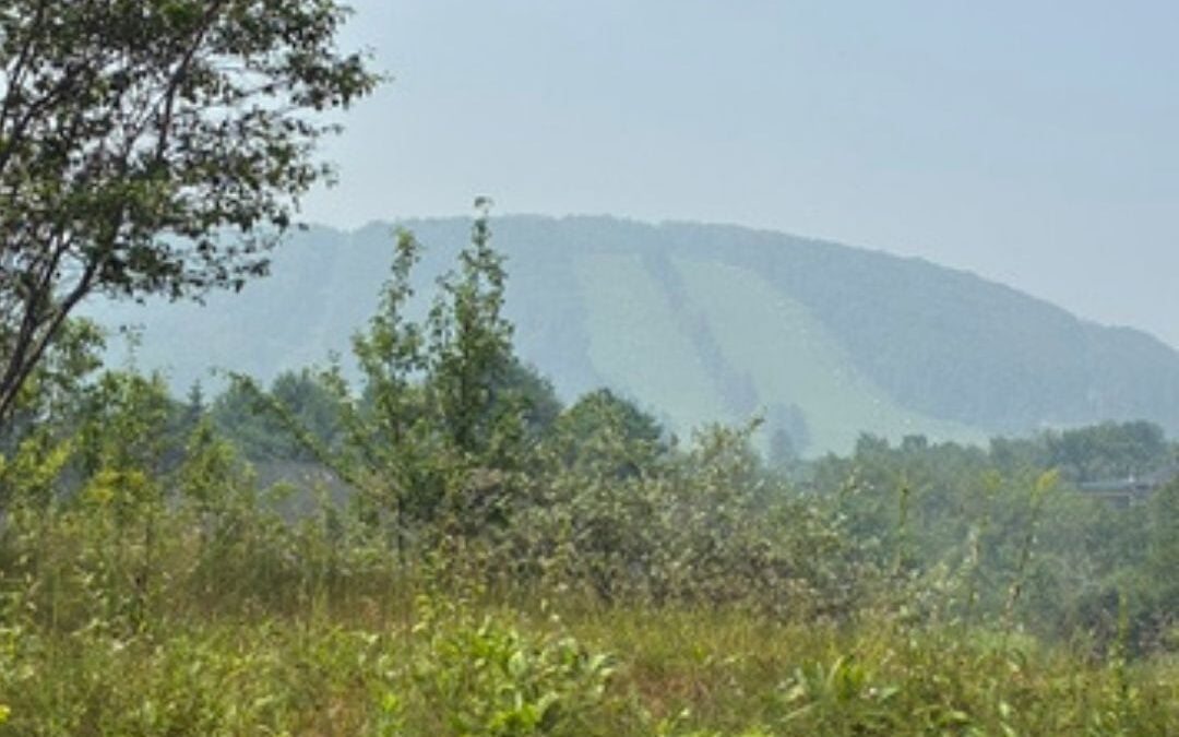 Deep Creek Daily Notes Blog July 21