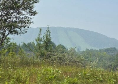 Deep Creek Daily Notes Blog July 21