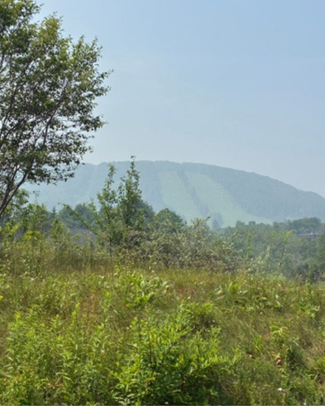 Deep Creek Daily Notes Blog July 21