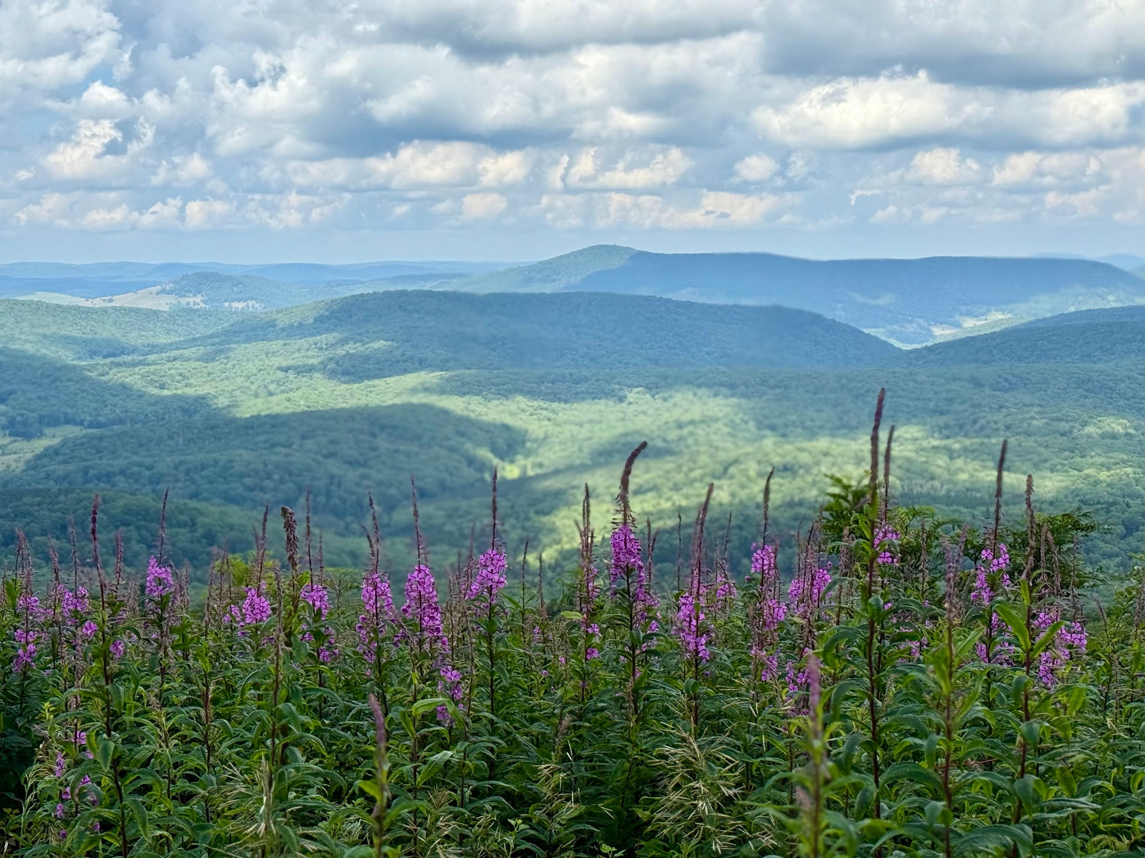 Deep Creek Daily Notes Blog July 25 Weekend
