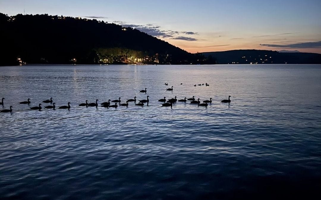 Deep Creek Daily Notes Blog July 28