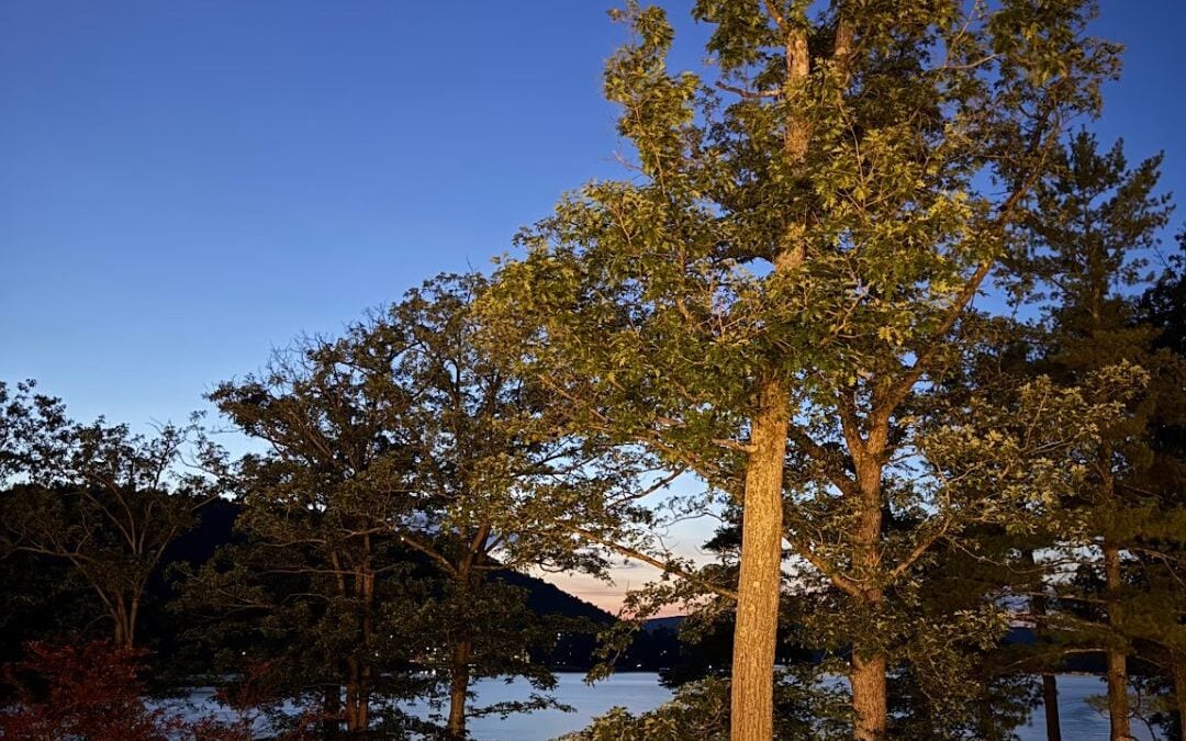 Deep Creek Daily Notes Blog July 29
