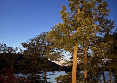 Deep Creek Daily Notes Blog July 29