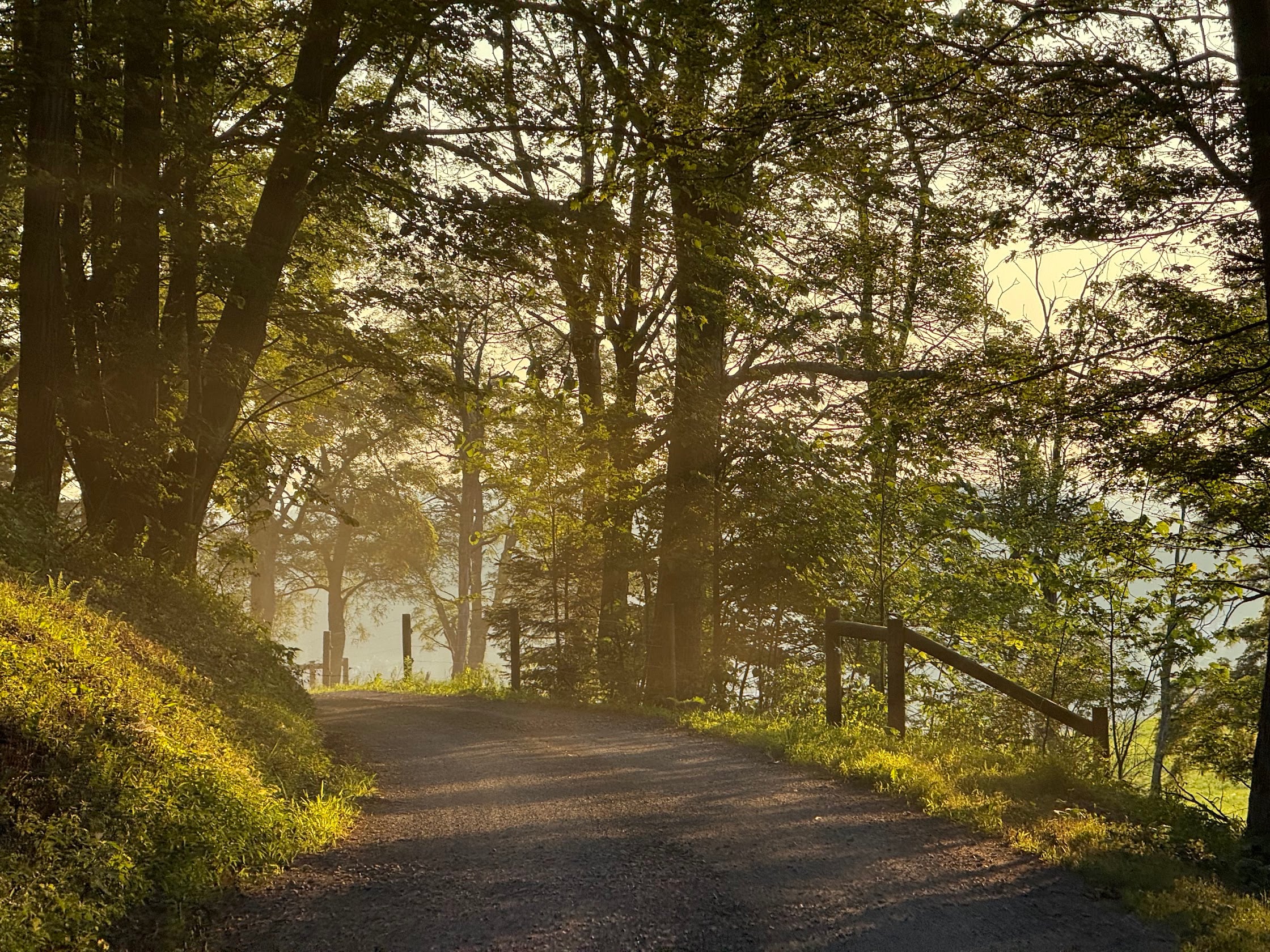Deep Creek Daily Notes Blog July 29