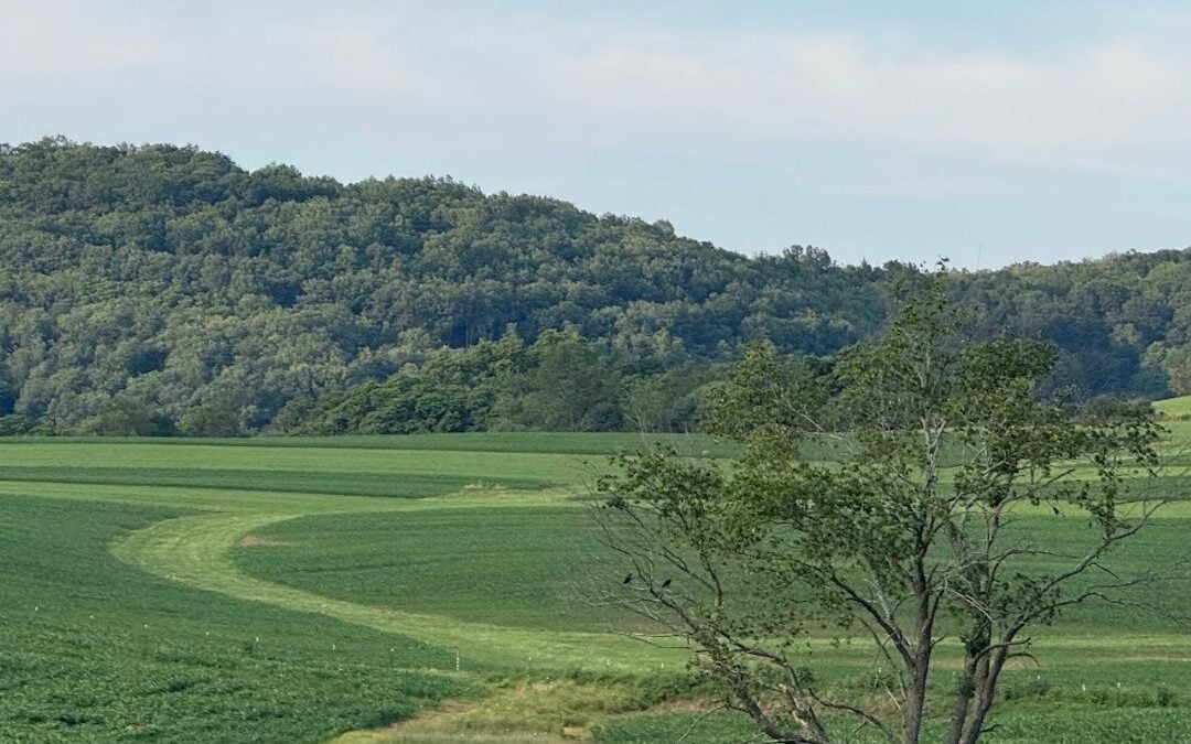 Deep Creek Daily Notes Blog July 30